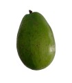 Aguacate